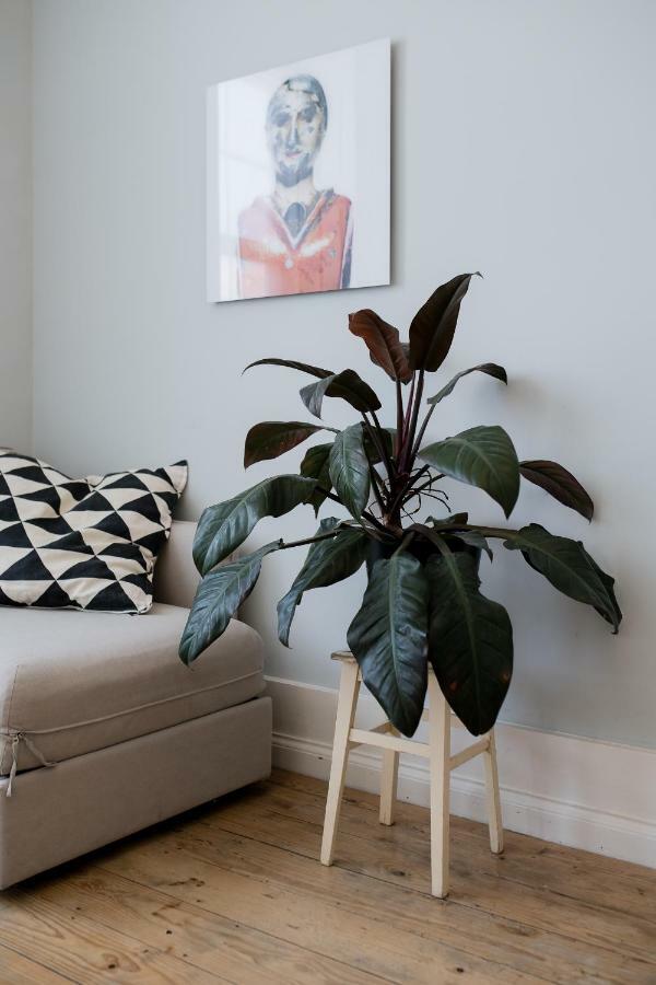 Baixa24 •P2R• Bright Apt In Vibrant Downtown Porto Zewnętrze zdjęcie