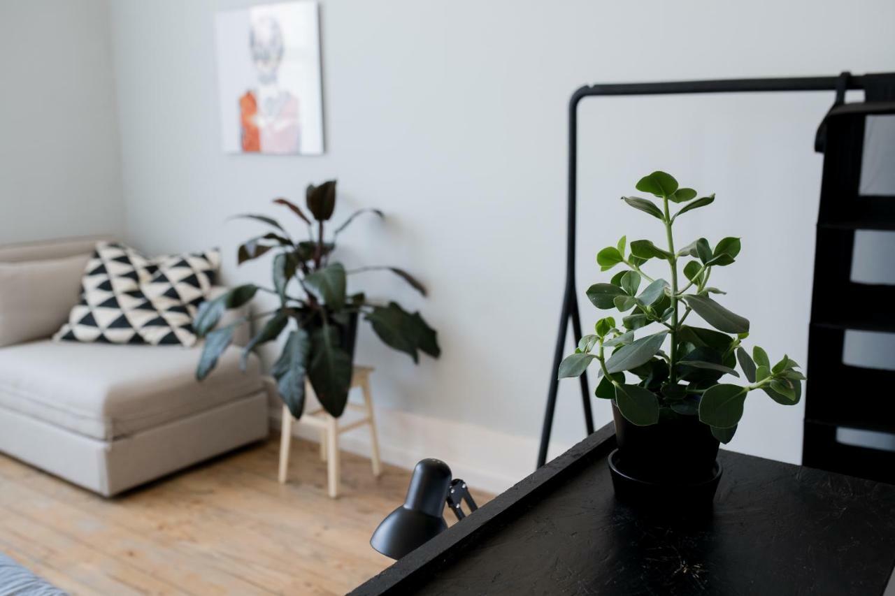 Baixa24 •P2R• Bright Apt In Vibrant Downtown Porto Zewnętrze zdjęcie